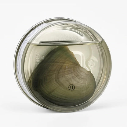 Sterling Silver Wish Pearl Set